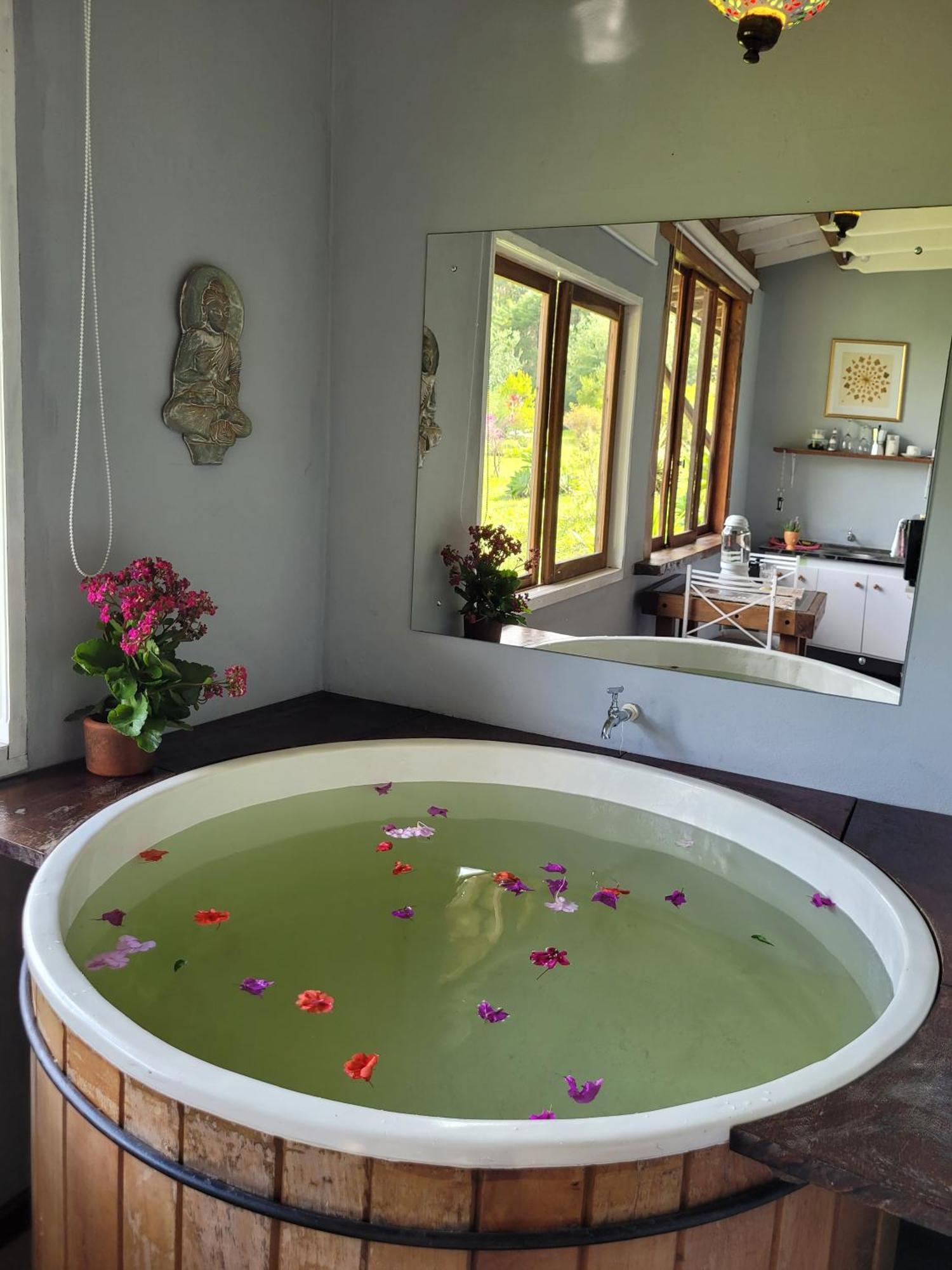 Mandala Aguas